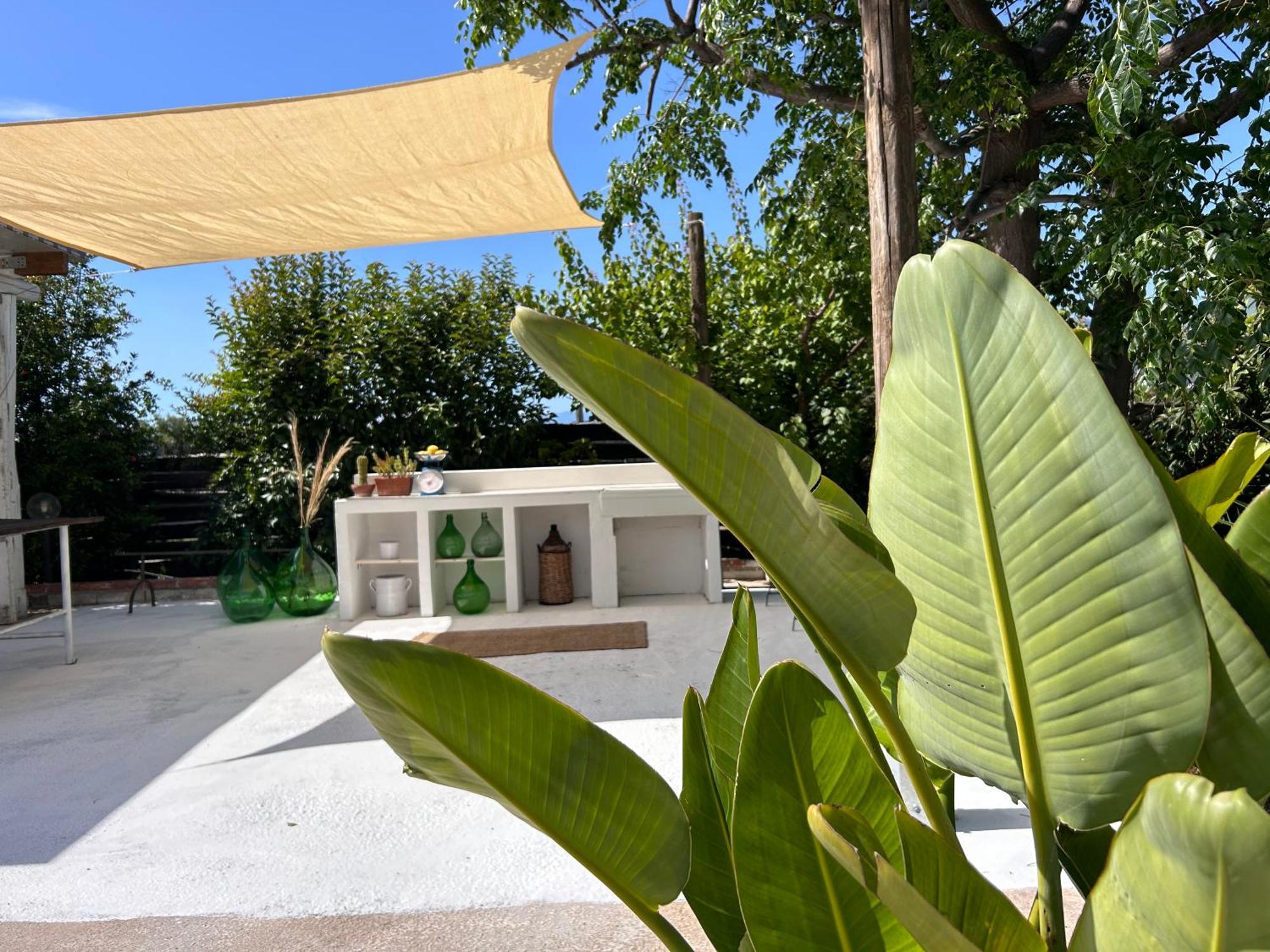 בית הארחה סקליאה 	87029House מראה חיצוני תמונה